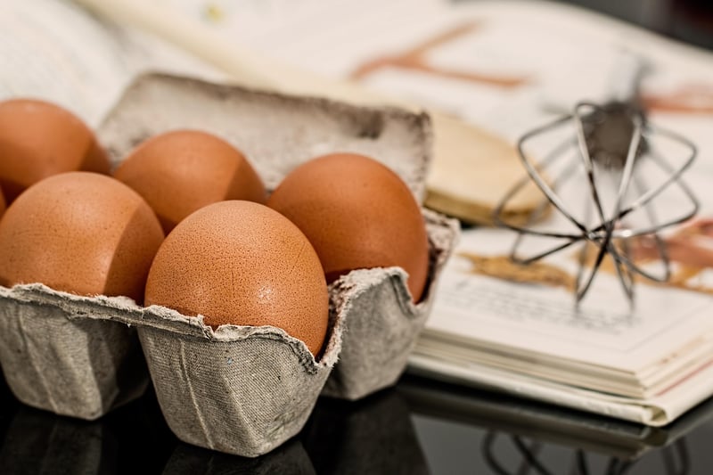 Egg Carton